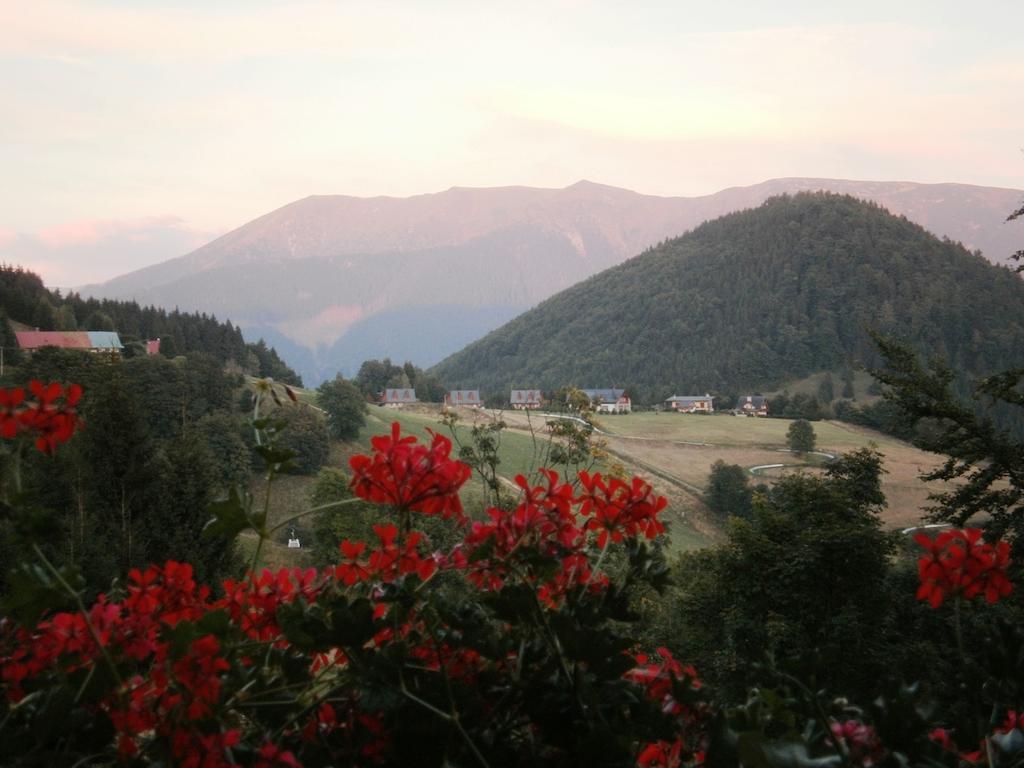 Apartmán Apartmán Donovaly Mišuty Pokoj fotografie